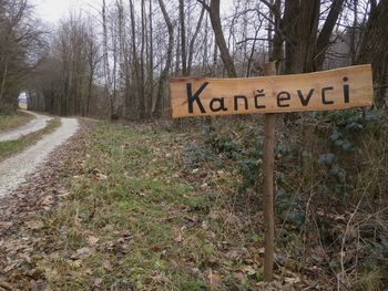 Prostovoljno izdelani tabli med Kančevci in Panovci