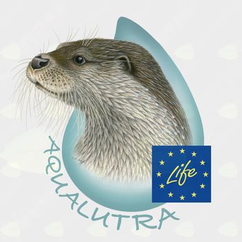 Dnevi odprtih vrat v vidrinem centru Aqualutra v Križevcih