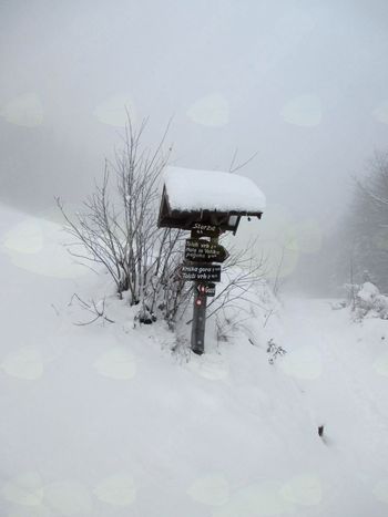 FOTOREPORTAŽA: PD Podpeč Preserje na Kriški gori 3.12.2017 