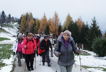 Zlatorumeni macesni in prvi novembrski sneg