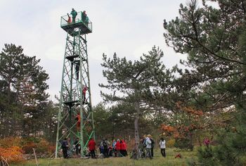 Sončki po Kraškem robu nad Gračiščem in Sočergo