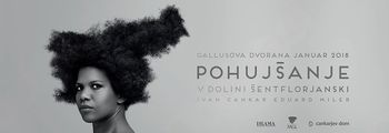 Pohujšanje v dolini Šentflorjanski