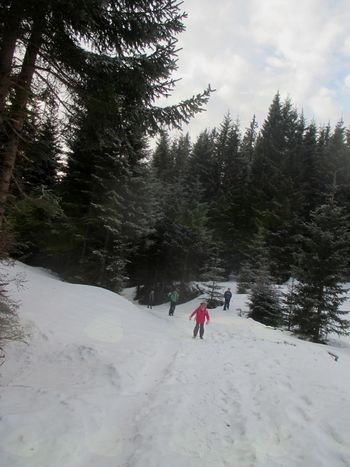 FOTOREPORTAŽA : Mladinski odsek PD Podpeč Preserje na Javorovem vrhu 20.1.2018