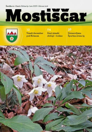 Mostiščar februar