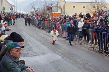 Mladi kurent