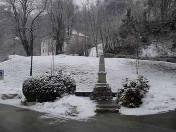 Dve novi lipi za Prešernovim spomenikom