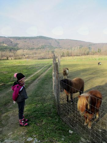 FOTOREPORTAŽA : Mladinski odsek PD Podpeč Preserje na Socerbu 17.2.2018