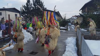 Kdaj bo pust okroglih ust priklical pomlad?