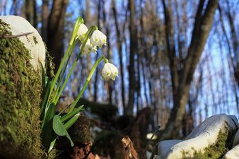 Duhovnost v vsakdanjem življenju z meditacijo