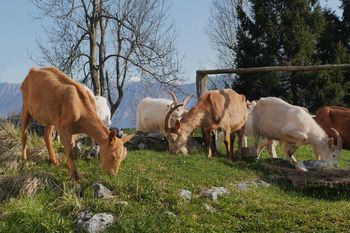 1.majska delavnica UPOČASNITVE na rajskem Robidišču nad Kobaridom