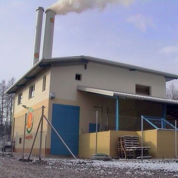 Težave pri obratovanju kotla na biomaso