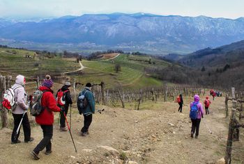 Sončki med vasmi nad Vipavsko dolino Sončki med vasmi nad Vipavsko dolino