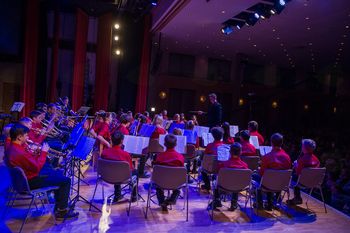 Zaključni nastop pihalnega, godalnega in mlajšega harmonikarskega orkestra
