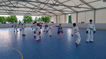 Predstavitev taekwon-doja v Športnem parku Radovljica