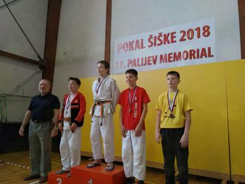 Pokal Šiške in Palijev memorial 