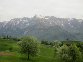 FOTOREPORTAŽA : PD na Matajurju  1.5.2018
