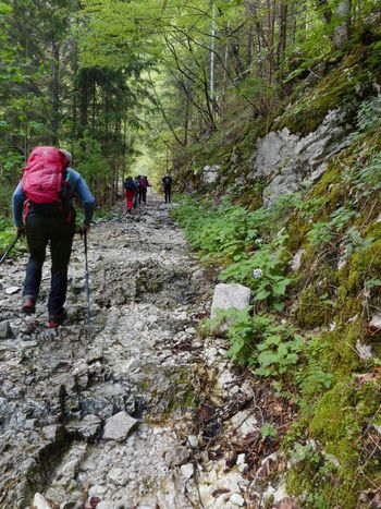 FOTOREPORTAŽA : PD na Veliki Babi  6.5.2018