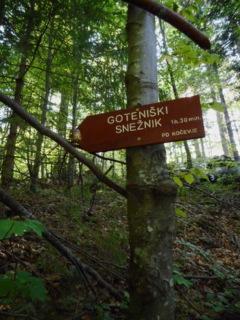 FOTOREPORTAŽA : Izlet veteranov PD na Goteniški Snežnik  9. 5. 2018                        