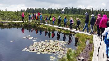 Aktivne počitnice na Rogli 2018