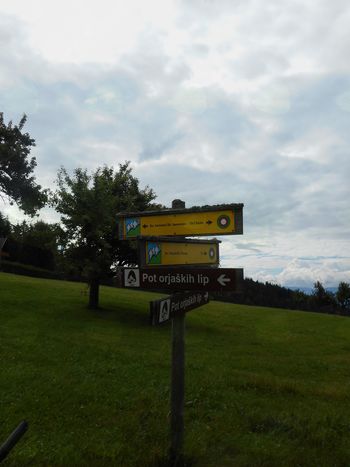 FOTOREPORTAŽA : PD na poti čez  Kozjak 24. in  25. 6. 2018                        