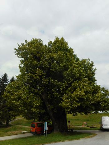 FOTOREPORTAŽA : PD na poti čez  Kozjak 24. in  25. 6. 2018                        
