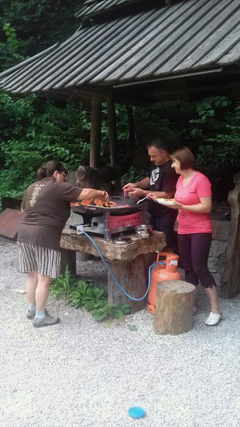 Piknik TD Kokra in balinanje