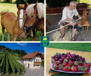 ❗Priložnost za turistične ponudnike❗