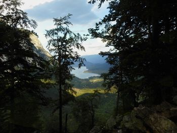 FOTOREPORTAŽA :  PD po Bohinjskih gorah od 27. do 29.7.2018