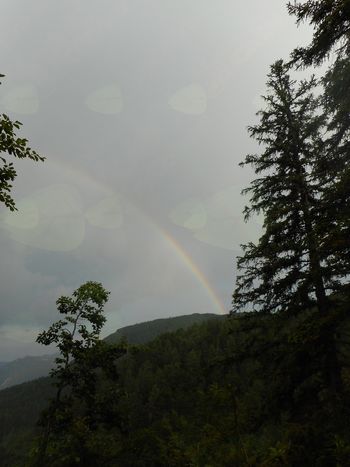 FOTOREPORTAŽA :  PD po Bohinjskih gorah od 27. do 29.7.2018