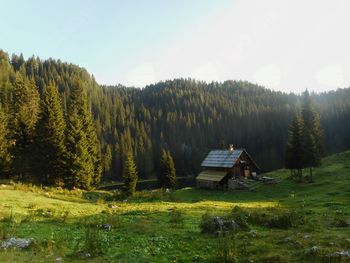 FOTOREPORTAŽA :  PD na poti od Tičaric do Kanjavca  4.8.2018