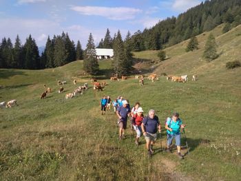 Pohod DU na Hruško planino