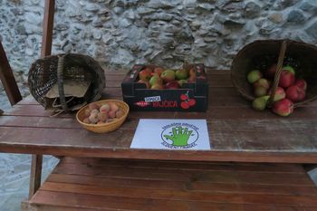 VZEMI IN DARUJ SADJE IN ZELENJAVO