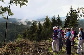 Sončki na Zadeli in Ojstrem hribu