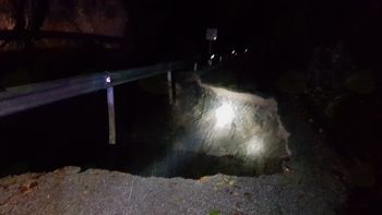 Neurje nepredvidenih razsežnosti v občini Tržič dne 29. in 30. 10. 2018