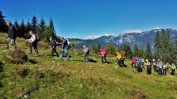 Barjani na Kranjski rebri