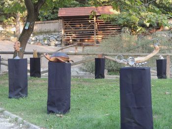 Zverinice na obisku v živalskem vrtu