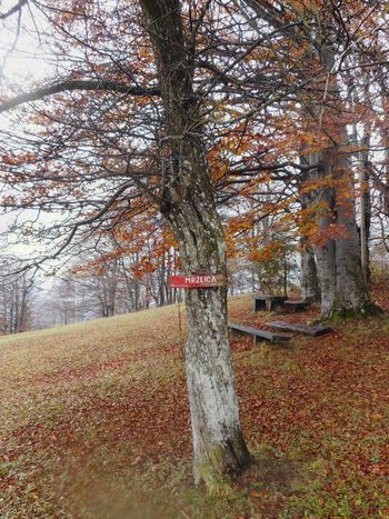FOTOREPORTAŽA : PD od Kala do Šmohorja  4. 11. 2018                        