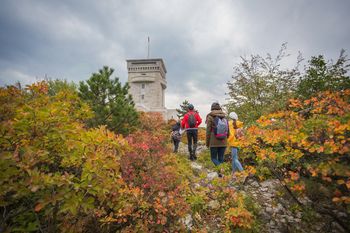 Uspeli na prijavi razpisa za razvoj in promocijo turistične ponudbe