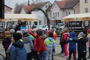 Čarobne smrekice v mestnem parku
