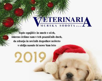 Veterinaria Murska Sobota želi srečno novo leto 2019