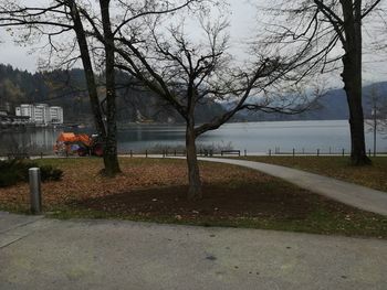 Nov dom za japonski rdečelistni javor
