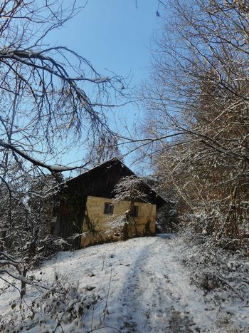 FOTOREPORTAŽA : PD od Resevne do Celjske koče  16. 12. 2018                        