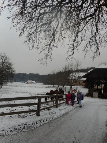 FOTOREPORTAŽA: Mladi planinci PD Podpeč - Preserje na poti od Gradišča do Obolna 15. 12. 2018