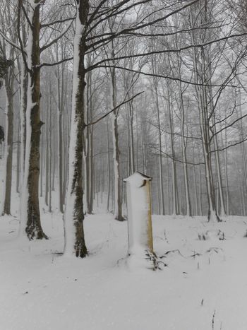 FOTOREPORTAŽA : PD na Snežniku  9. 12. 2018                        