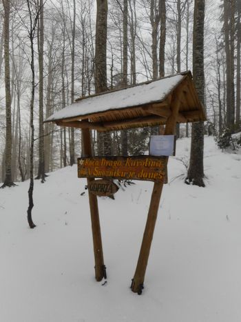 FOTOREPORTAŽA : PD na Snežniku  9. 12. 2018                        