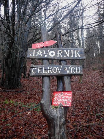 FOTOREPORTAŽA : PD na Javorniku in Čelkovem vrhu  23. 12. 2018                        