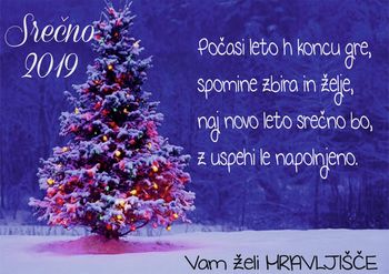 SREČNO 2019 želi DMD MRAVLJIŠČE