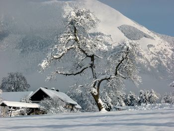 Voščilo župana občine Preddvor