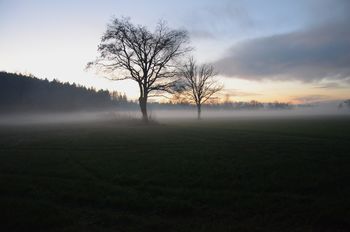 PRIBLIŽEVANJA IN ODDALJEVANJA
