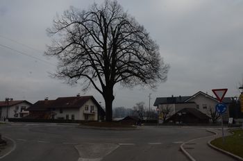 ALI POSTAJAMO SLOVENCI RES BREZČUTNI LJUDJE?